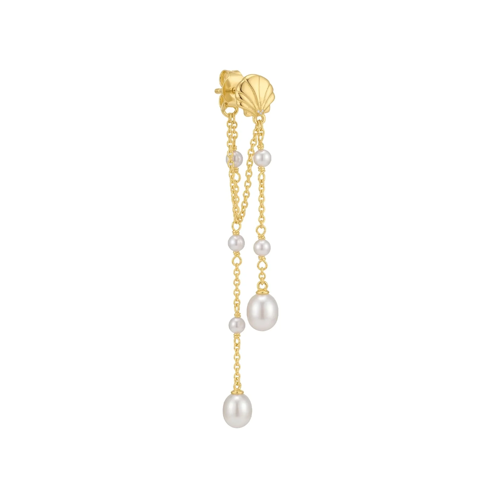 Orecchino Amabile Pendente Bond Afrodite con Conchiglia e Perle  in Argento Dorato 