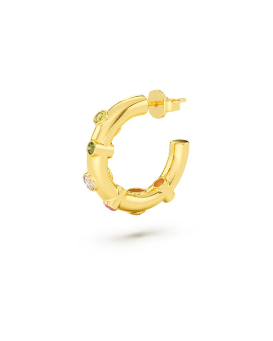Orecchino Donna Amabile Hoop Safari Dorato a Cerchio con Piccole Pietre Bezel Colorate 