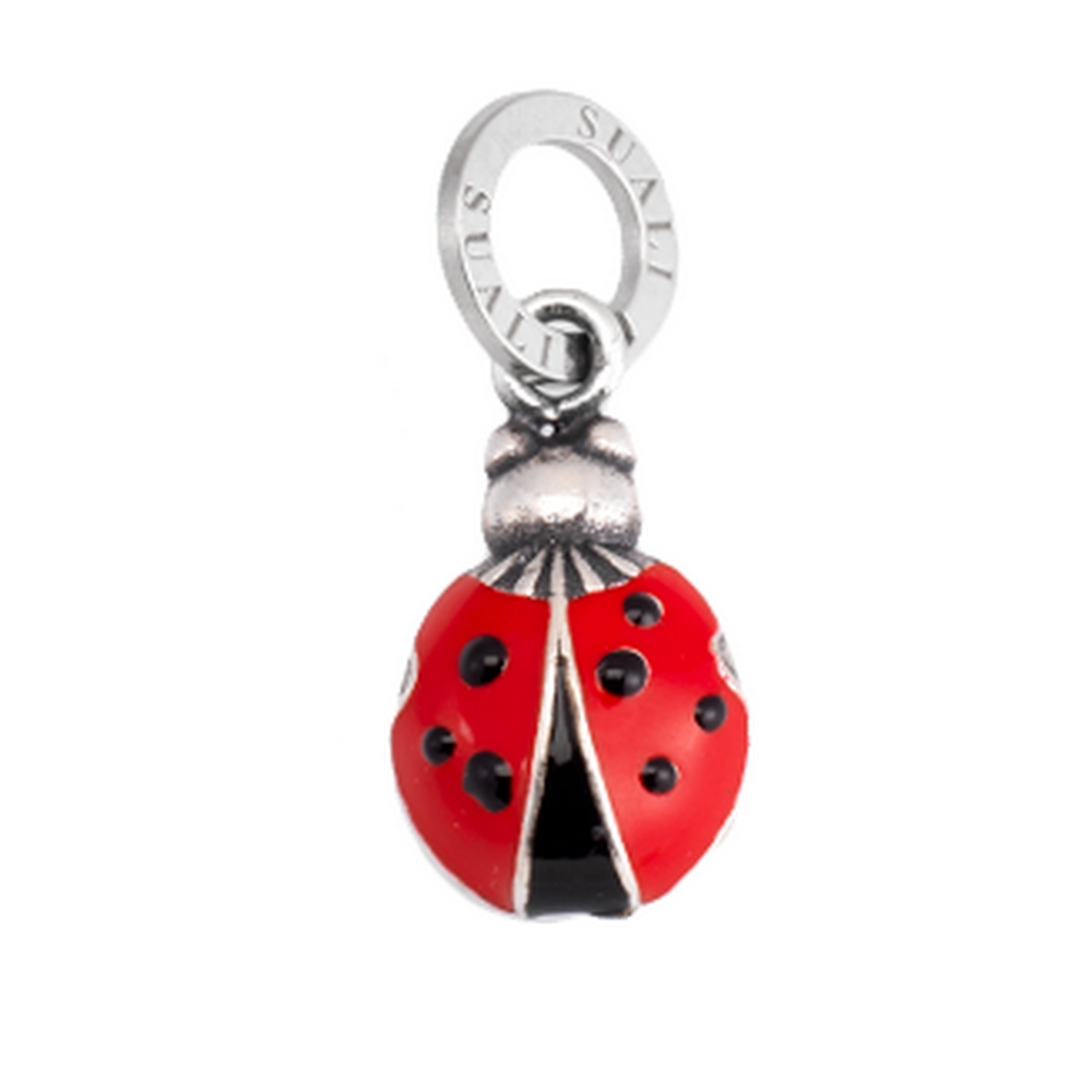 20857_108865_sk1001_02