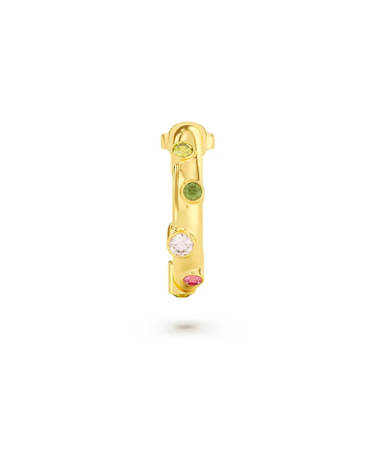 Orecchino Donna Amabile Hoop Safari Dorato a Cerchio con Piccole Pietre Bezel Colorate 